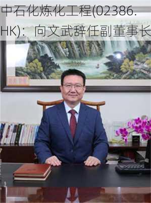 中石化炼化工程(02386.HK)：向文武辞任副董事长