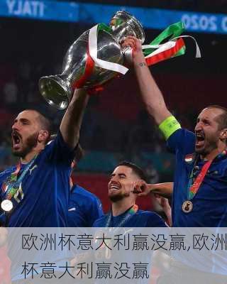欧洲杯意大利赢没赢,欧洲杯意大利赢没赢