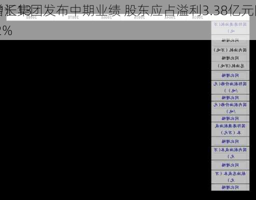中汇集团发布中期业绩 股东应占溢利3.38亿元同
增长13.2%