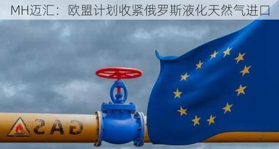 MH迈汇：欧盟计划收紧俄罗斯液化天然气进口