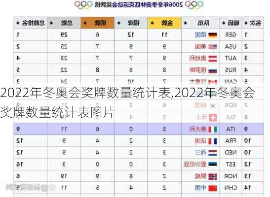 2022年冬奥会奖牌数量统计表,2022年冬奥会奖牌数量统计表图片