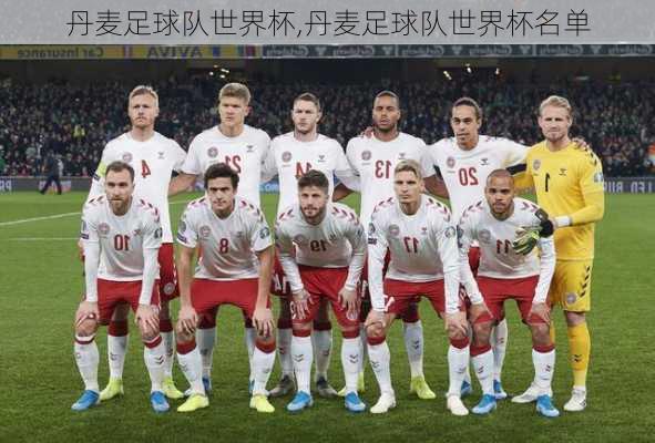 丹麦足球队世界杯,丹麦足球队世界杯名单