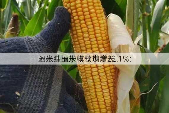 阿根廷玉米收获进度22.1%：
玉米种植规模预期增长
