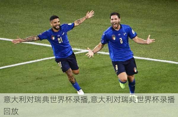 意大利对瑞典世界杯录播,意大利对瑞典世界杯录播回放