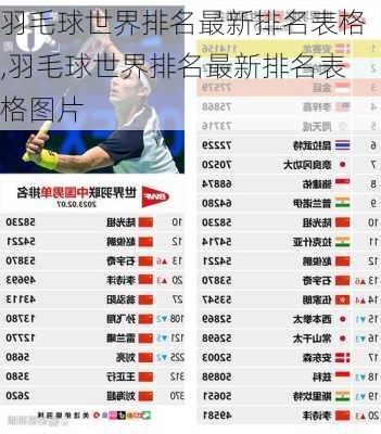 羽毛球世界排名最新排名表格,羽毛球世界排名最新排名表格图片