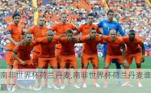 南非世界杯荷兰丹麦,南非世界杯荷兰丹麦谁赢了