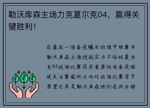 勒沃库森主场力克夏尔克04，赢得关键胜利！
