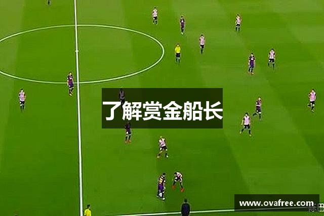 了解赏金船长